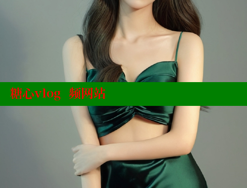 糖心vlog  频网站 糖心vlog网页版 第2张