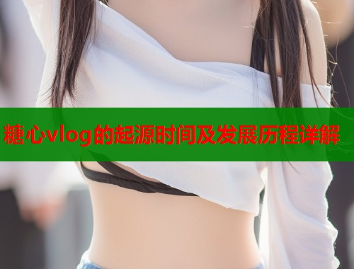 糖心vlog的起源时间及发展历程详解  第2张